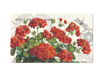 Geraniums in the Sun
