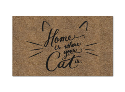 Home Is Where Your Cat Is