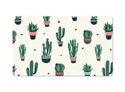Potted Cactus